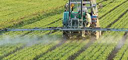 Bentonite for fertilizer pesticides in Agriculture industry